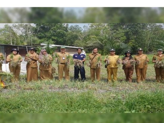 Panen Bawang Merah di Tangkiling, Bukti Dukungan Pemprov Kalteng Tingkatkan Produktivitas Petani