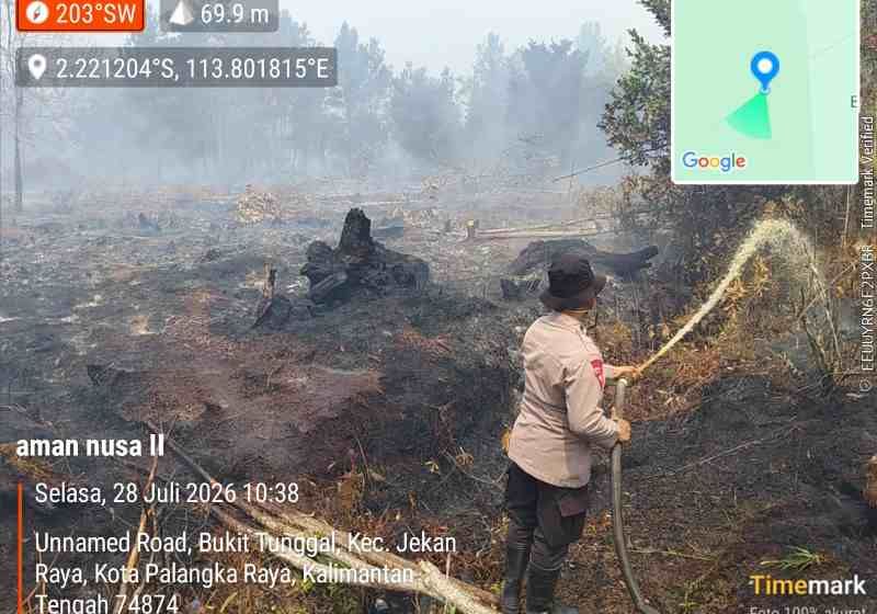 Header Kobaran Api Melahap 10 Hektar Lahan  di Jalan Hiu Putih Lanjutan, Polisi  Berpacu Padamkan Api