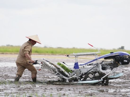 Gubernur Kalteng Hadiri Gerakan Tanam Padi Secara Serentak di 14 Provinsi Sentra Utama Padi dari Desa Lempuyang, Kab. Kotawaringin Timur