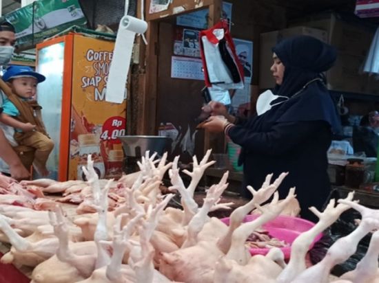 Jelang Nataru, Harga Ayam Potong di Palangka Raya Merangkak Naik
