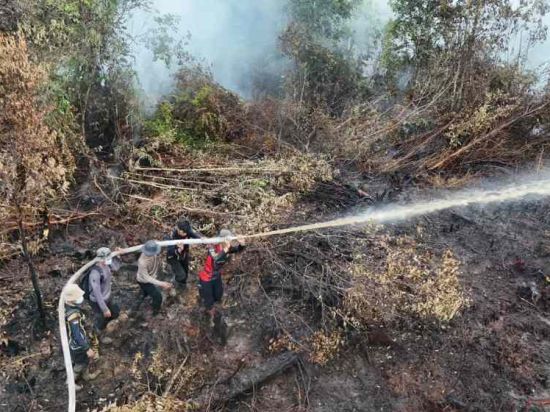 Cegah Api Meluas, Satgas Aman Nusa II Terus Kepung Karhutla