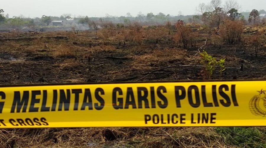 Header Palangka Raya Tetapkan Status Siaga Darurat Kebakaran Hutan dan Lahan