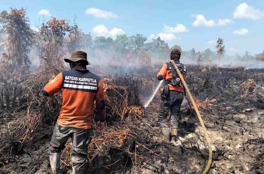 Header Karhutla Mulai Mengancam Kalteng, 117 Hotspot Mulai Ditemukan 
