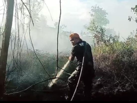 BPBD Kotim Minta Bantuan Helikopter Water Bombing untuk Atasi Karhutla  Sulit Dijangkau