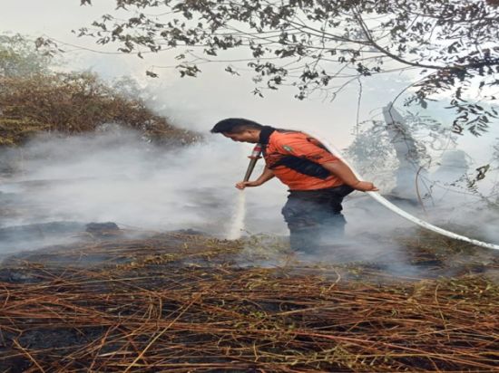 Karhutla Kembali Terjadi  di Kabupaten Kotim , Bakar 8 Hektar Lahan