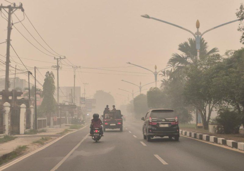 Header Api Kian Tak Terkendali, Karhutla Palangka Raya Capai 876 Kejadian