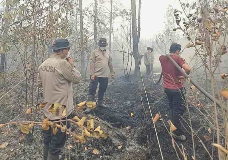 Header Api Padam Belum Berarti Aman, Bara Karhutla Mengintai hingga 12 Meter di Bawah