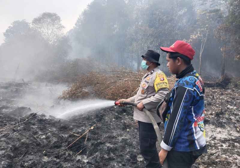 Header Angin Kencang Membuat Api Cepat Merambat di Lahan Gambut, 4 Herktar Terbakar