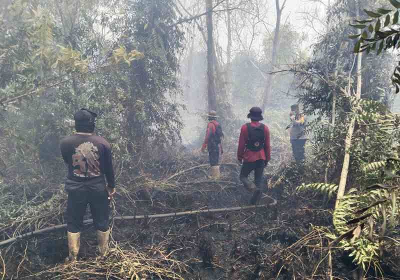Header Karhutla di Jalan Misik Palangka Raya, Api Kembali Muncul Dekat Permukiman