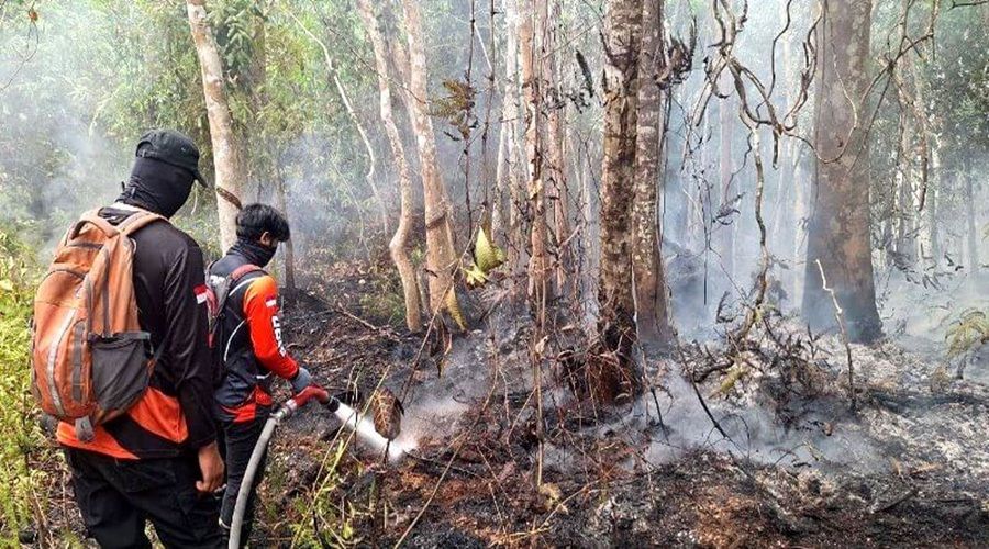 Header BPBD Percepat Penanganan Karhutla Dekat Permukiman