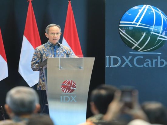 OJK Luncurkan Buku Edukasi Perdagangan Karbon Bagi Sektor Jasa keuangan