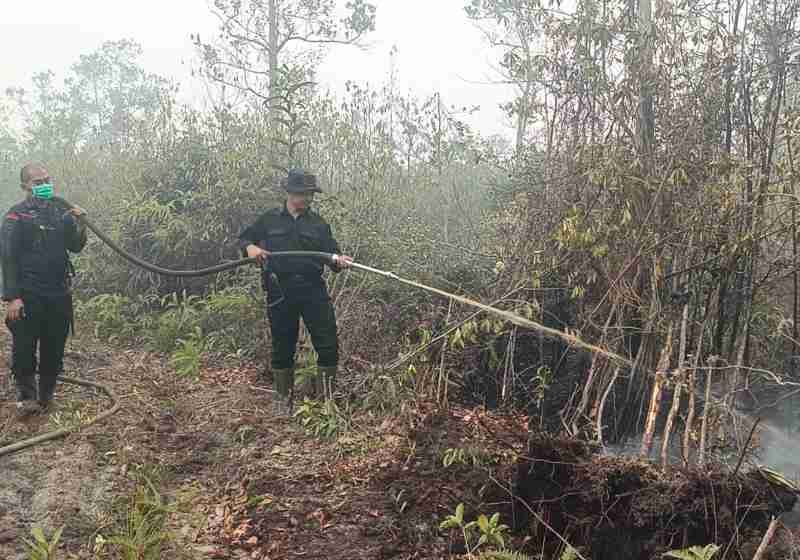 Header Karhutla Palangka Raya Ditangani saat Hari Minggu, Petugas Sisir Bara dengan Drone