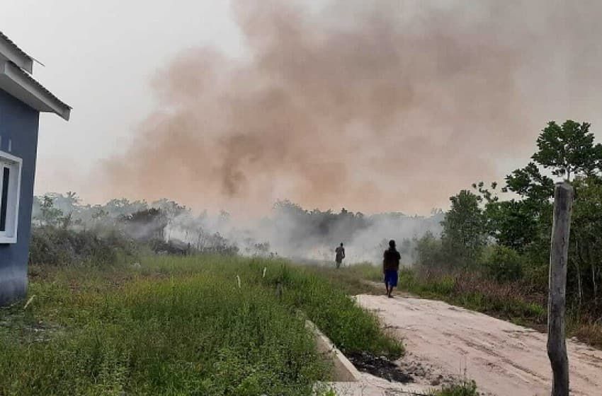 Header Pemkot Palangka Raya Matangkan Status Siaga Karhutla