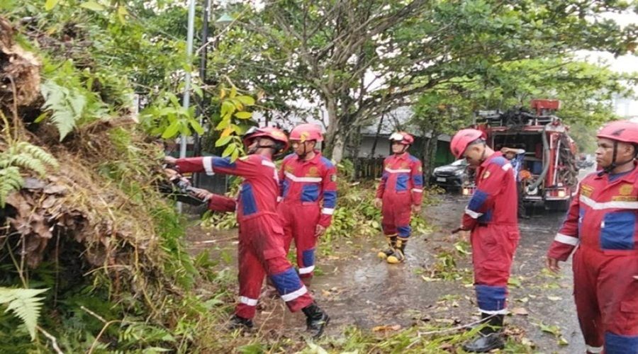 Header Masyarakat Palangka Raya Diminta Waspada Cuaca Ektrem, Jangan Berteduh di Bawah Pohon