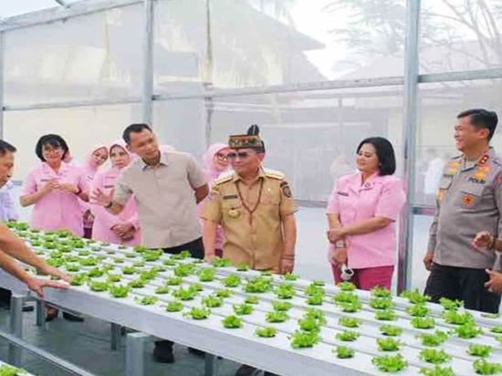 Perkuat Ketahanan Pangan, Pemprov Kalteng Dukung Inovasi Green House Ramah Lingkungan