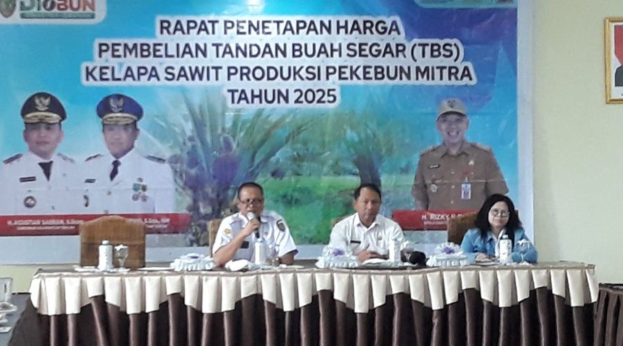 Header Hasil Penetapan pada Periode II Bulan Maret 2025, Harga TBS Kalteng Kembali Bergerak Naik