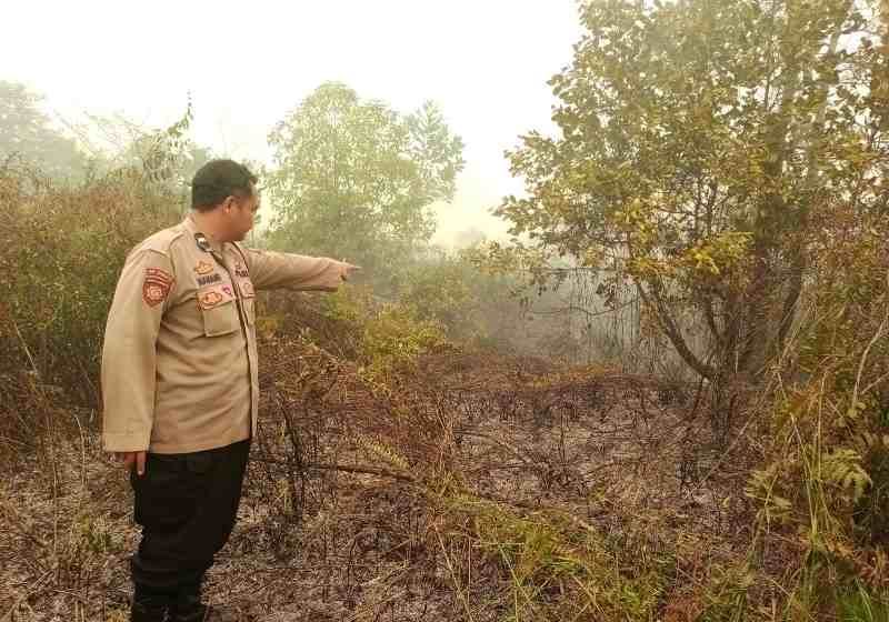 Header Bara Karhutla Masih Menyala di Pantung Indah Palangka Raya, Sumber Air Tak Tersedia
