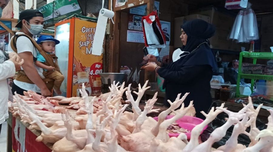 Header Jelang Nataru, Harga Ayam Potong di Palangka Raya Merangkak Naik