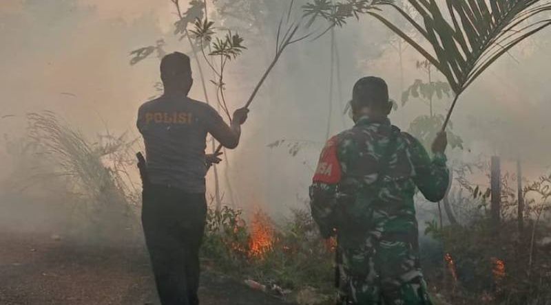 Karhutla Lumat 0,5 Hektare di Petuk Barunai, Pemadaman Terkendala Jauhnya Sumber Air