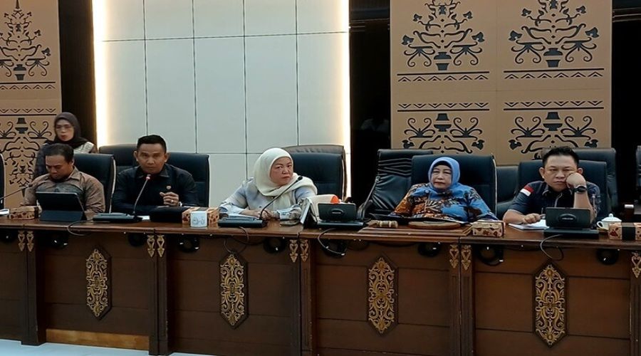 Header Dewan Minta Perusahaan Hentikan Operasi Sementara di Jalur Batu Bara KM 30