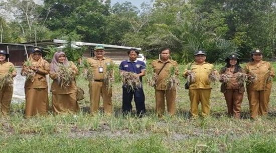 Panen Bawang Merah di Tangkiling, Bukti Dukungan Pemprov Kalteng Tingkatkan Produktivitas Petani