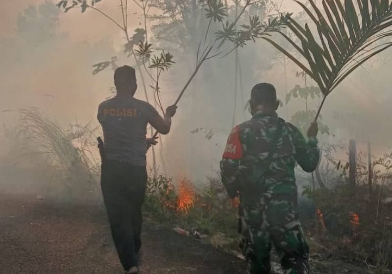 Header Karhutla Lumat 0,5 Hektare di Petuk Barunai, Pemadaman Terkendala Jauhnya Sumber Air