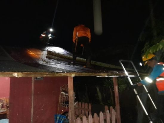 Ditiup Angin Kencang, Pohon Pinang Timpa Atap Rumah Warga Palangka Raya