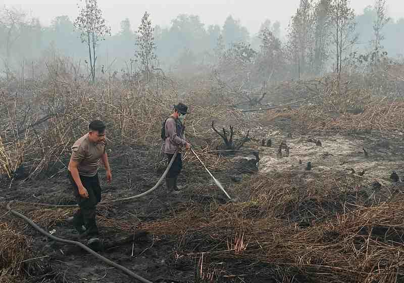 Header Bara Masih Tersisa di Gambut Kompleks Pemakaman, Polsek Pahandut Lanjutkan Pemadaman