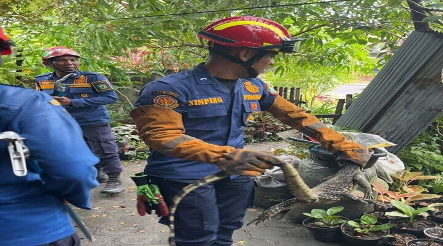 Header Petugasnya Banyak Miliki Sertifikasi, Damkar Kotim Telah Tangani 500 Kasus